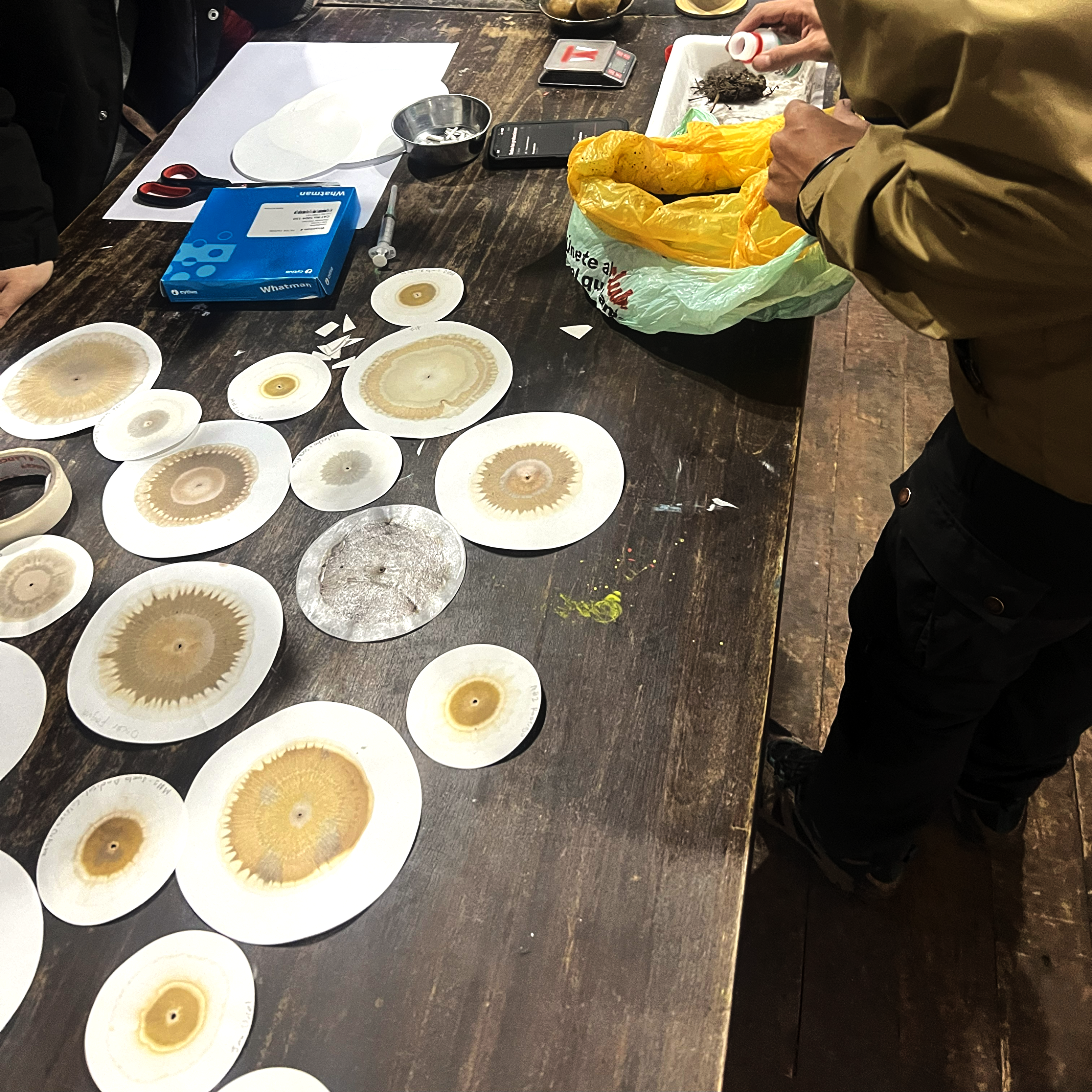 Cromatografía – imagen 2