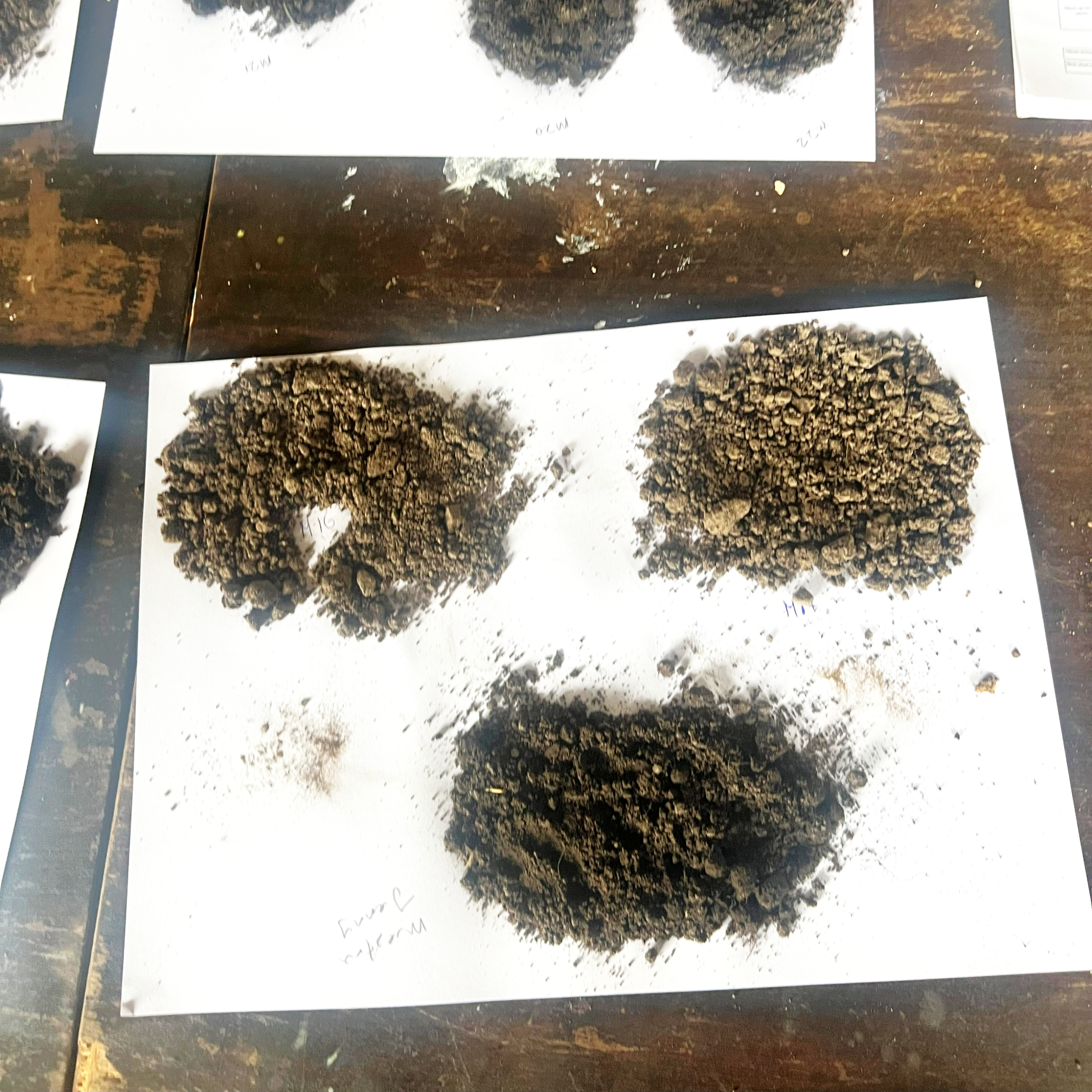 Cromatografía – imagen 4