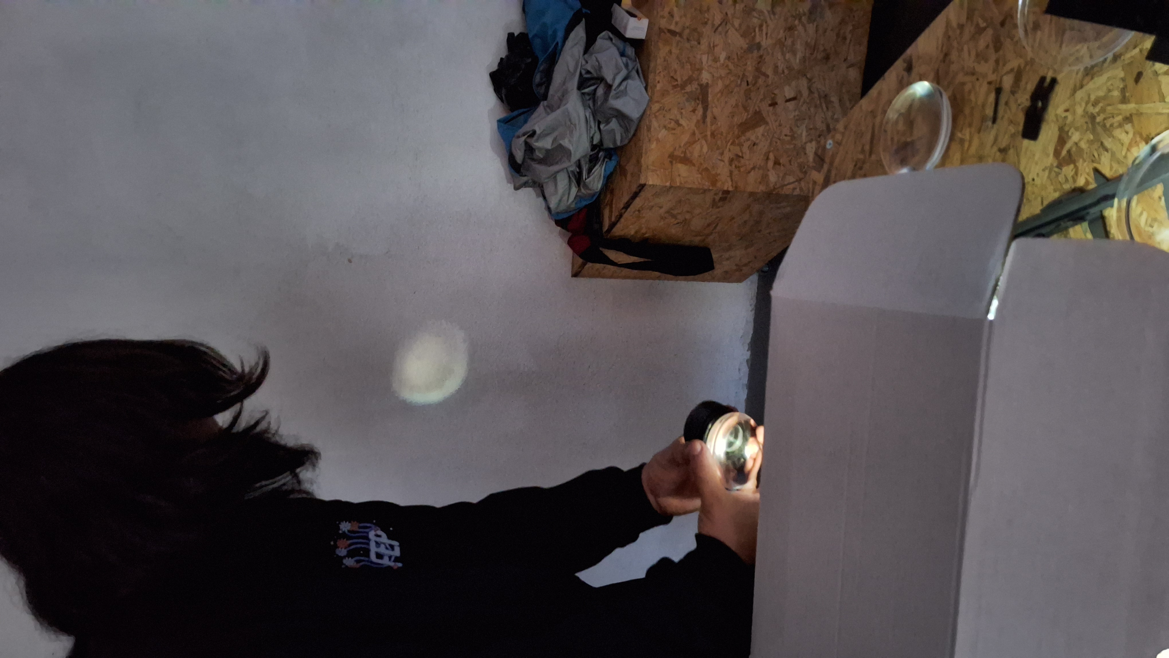 Proyector Opaco (LED) – imagen 1