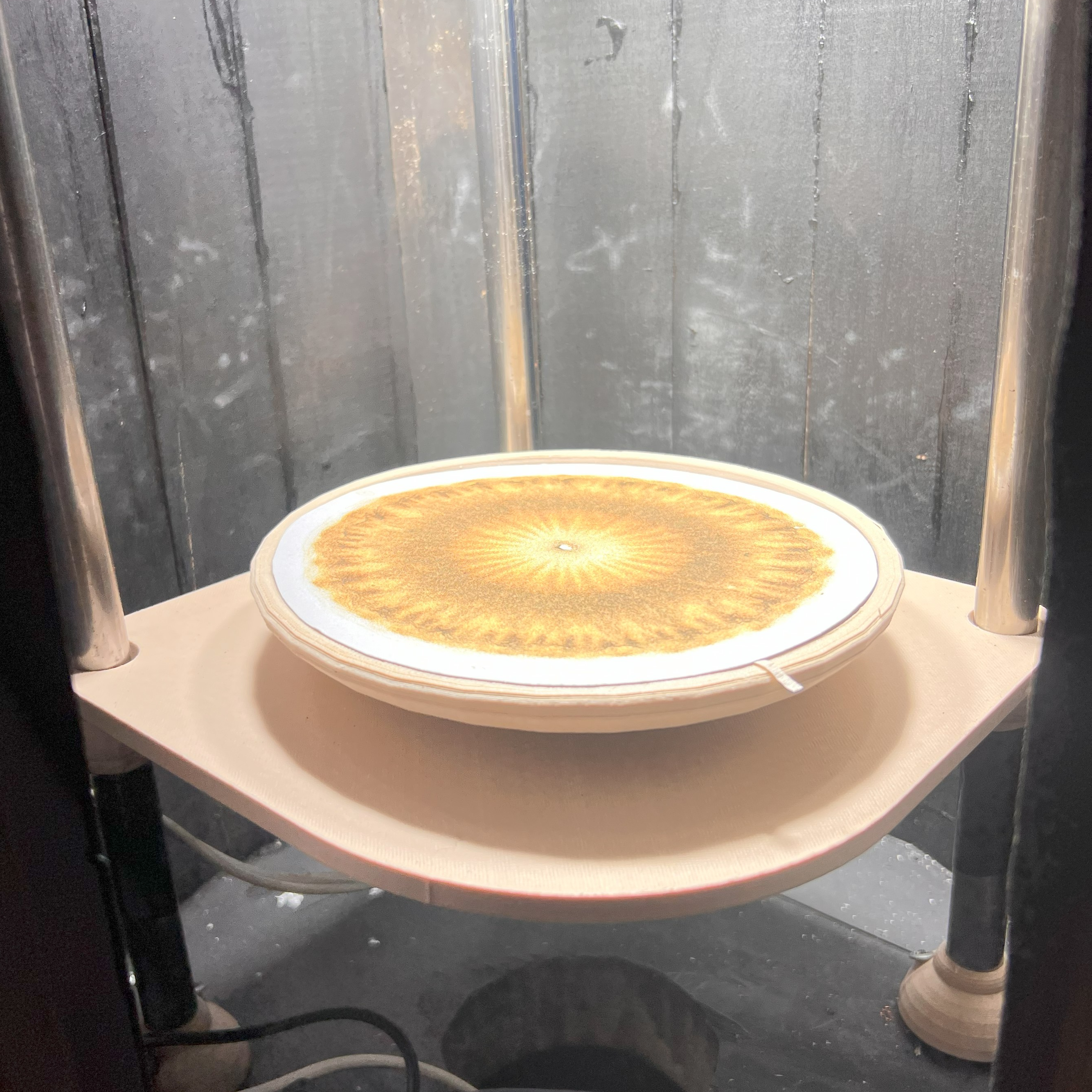 Proyector Opaco (LED) – imagen 5